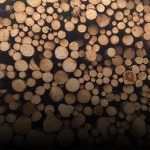 ترخیص چوب و اشیاء چوبی